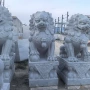 门口寺庙定制石雕狮子