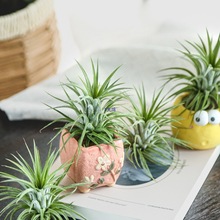 �՚��P�漃ֲ�����֑��˼ҾӰٴ����؟o��ֲ�����ֲ��Ҿ�