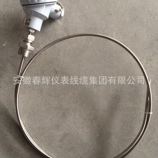 �������I�����PT100�ֶ�̖�����WZP-010