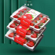 һ���Բ�ݮ�����бP15-20�w���bˮ��͸�����ϰ��b����ݮ�D�����l