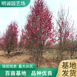 8������������10����������6�������Ҙ��΃����t�~����