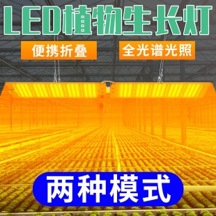 Qianrun Lighting led Plant Light Household Full Spectrum Plant Growth Light Dual Mode Quantum Board Fleshy Light