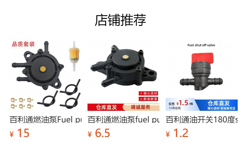 Baileton Fuel Pump Gasoline Pump with Filter, Including Filter Clamp, Available for Sale