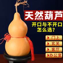 ��Ȼ���J�������J�Ї��Y���鲻�_���T���T�͏d�[����̖����