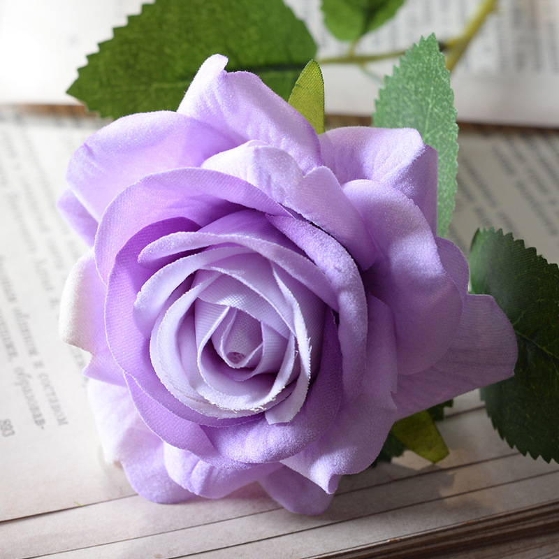 Aisha rose light purple