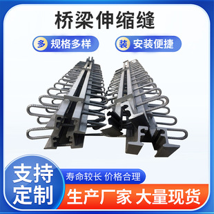 Manufacturer Supplies Bridge Expansion Joints, Steel Structure Buildings, Municipal Road Comb-Type Bridge Expansion Joints