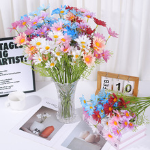 Сrշ滨Wʽ͏d廨b̎滨ʾՆ֧