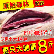 ����9���Y��Ǵ��Z��ֻ�L���w����ɢ�B����Z�����Z