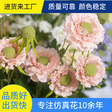 滨L֦xݼٻƵbxYý羳ܽػl