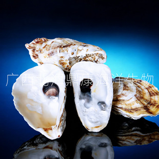 ����������򺚤�^�V�b�ˮ�����~��ˮ���ԭʼĵϠDIY���x