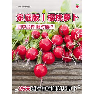 ˮ�������}���N�Ѵ�ȫ�ļ��̨�����P���}���N�Ӽt��С�}���N����