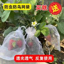 草莓蓝莓水果网套袋防虫防鸟吃套袋纱网袋葡萄无花果透气瓜果套袋