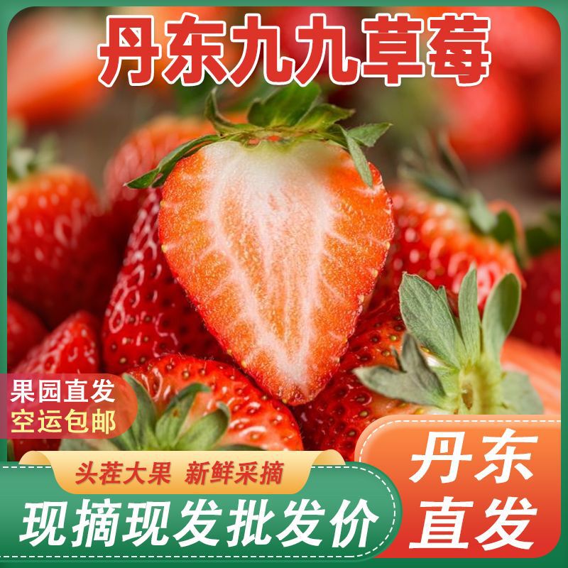 Dandong Jiujiu Strawberry Authentic Jiujiu Red Strawberry Origin Direct Fresh First Crop Fruit Wholesale Delivery