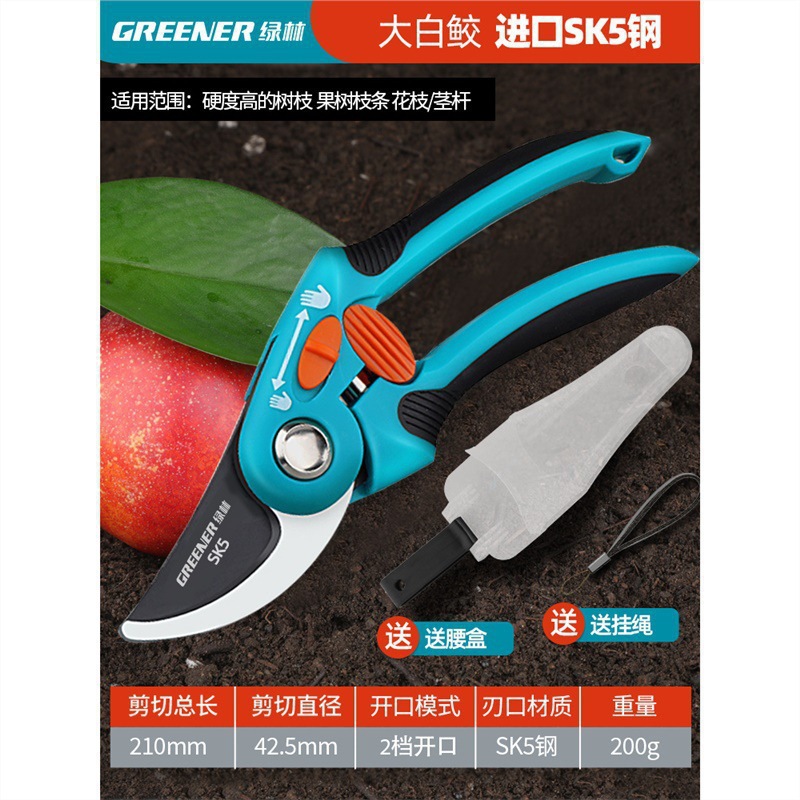 Tijeras florales Artesanía alemana Ramas de frutas Tijeras de ramas Cuchillos Tijeras de poda Bosque verde Jardinería Poda importada Envío gratis