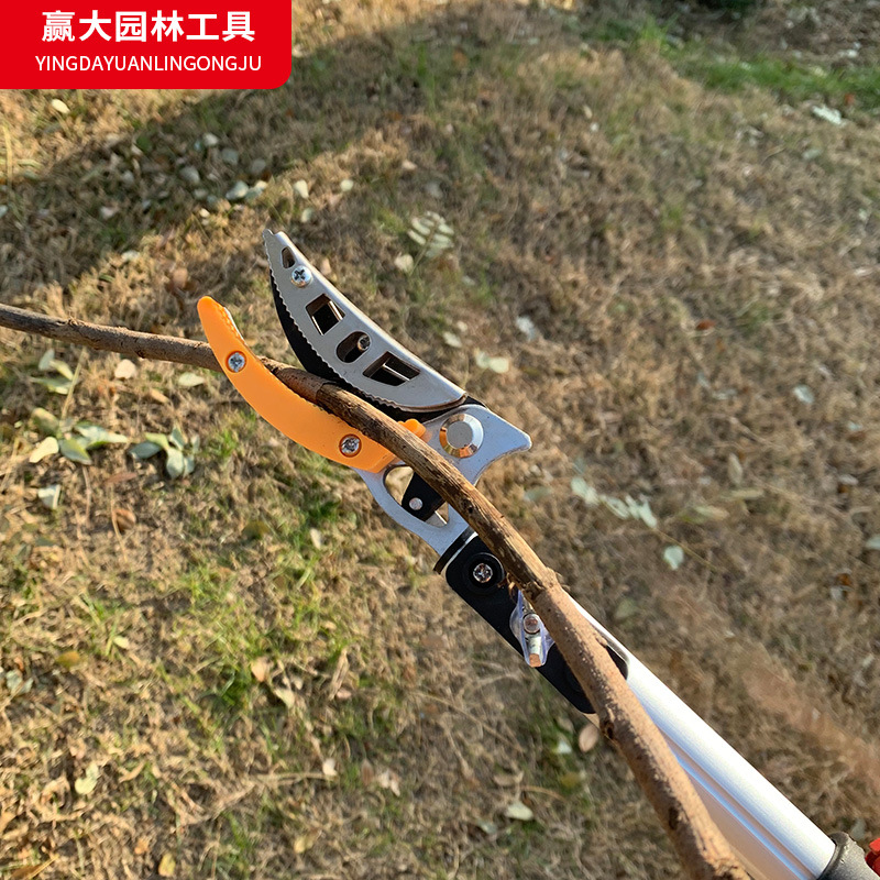 Ganar grandes tijeras de recolección de frutas telescópicas de ramas altas tijeras de ramas altas tijeras de aleación de aluminio para recoger frutas, lichis y herramientas de jardín de nísperos