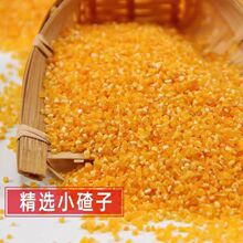 东北玉米糁玉米面玉米小渣子农家新货五谷杂粮苞米细小玉米碎煲粥