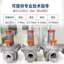 �ư¼�ѹ��/��ѹ�� ԭװFiorentini  ��ѹ��FMF30062