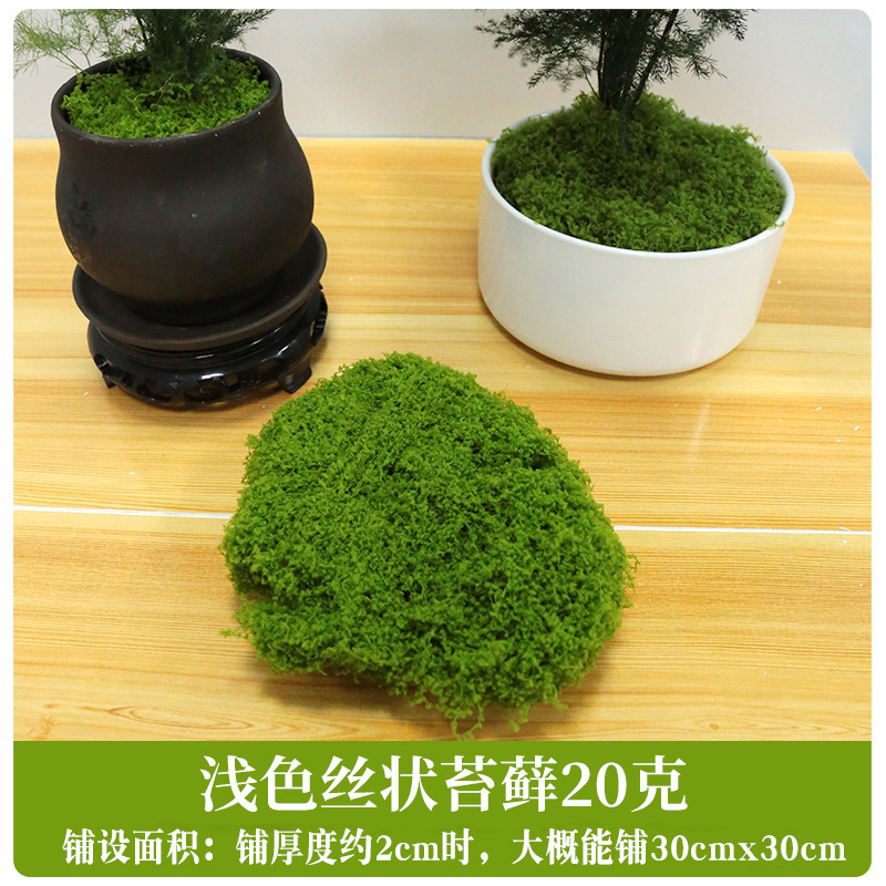Simulación de césped de seda de musgo, paisaje de musgo biónico, plantas verdes, bonsai, pavimento de paisajismo, decoración de musgo falso, césped falso