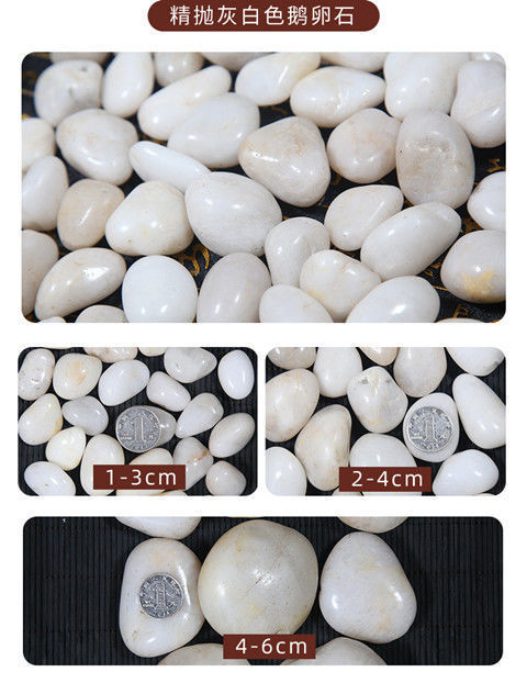 d79f6fb4-03aa-4965-a8e0-4b3bdd7e8ac7.jpe