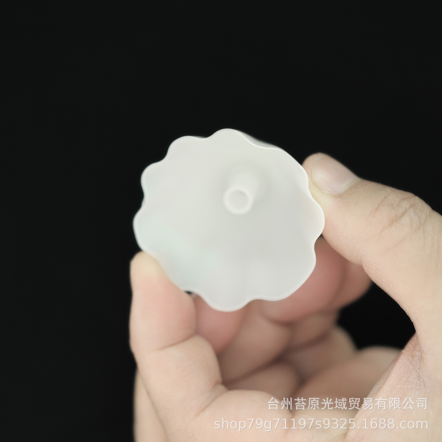 蘑菇一6.JPG.jpg