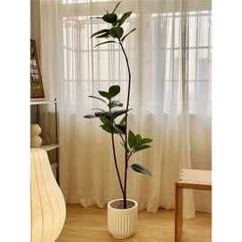 海虹景品仿真绿植橡皮树室内客厅装饰仿生假植物盆栽高端轻奢落地