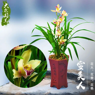 �m�������Ժ��B�����m�����m���ܾGֲ���ļ��_���ش�͏d�̨����