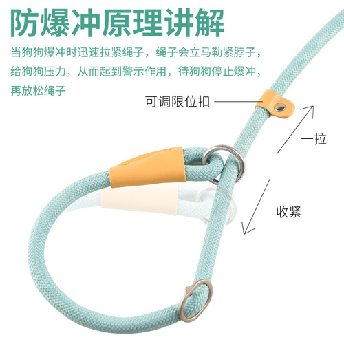 One-piece dog harness racing-level training set leather P-chain adjustable pet leash pet safety rope dog chain