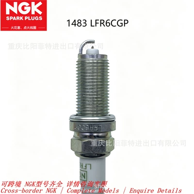 1483 LFR6CGP NGK platinum Alışdırma şamı (Sveçalar)