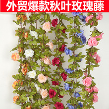 ����17�^õ�廨�ٻ��l�����̨�ܵ��b�c����·�����T�b�