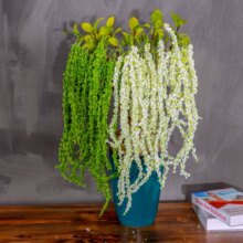���滨���u�ڼ���ĭ�{���������˜I�ٻ��Ҿӷ��g�b�c���õ���