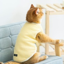 批发猫咪衣服秋冬季加绒保暖背心蓝猫布偶猫小猫幼猫宠物两脚马甲