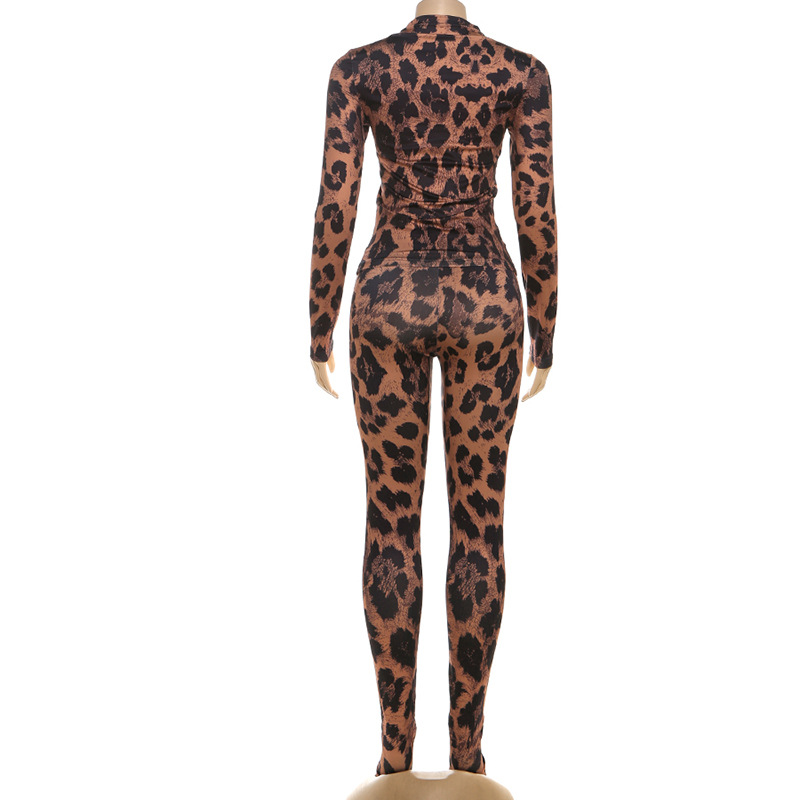 Damen Langarm Oberteil Und Slim Hose Set Mit Digitaldruck Herbst_voghion.com