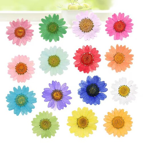 Pressed Flower Jelly Case, DIY Bookmarks, Greeting Cards, Fans, Handmade Materials