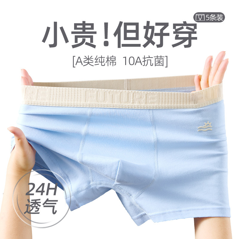 Teen Underwear 10A Antibacterial Pure Cotton Class a Cotton Boys' Development Period Boxer Shorts for Older Children Boys' Boxer Briefs