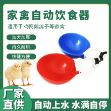 跨境爆品鸡鸭鹅家禽全自动饮水器鸡用饮水碗喝水碗小鸡饮水器食槽