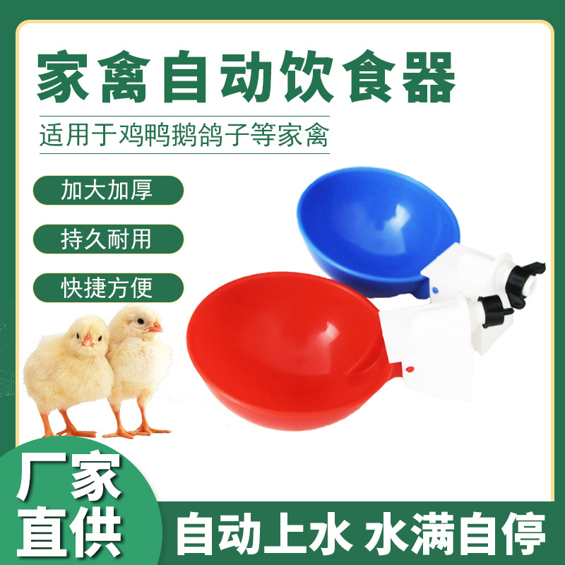 跨境爆品鸡鸭鹅家禽全自动饮水器鸡用饮水碗喝水碗小鸡饮水器食槽