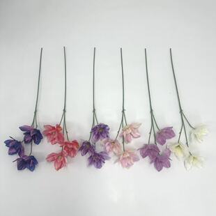 3D��ӡ��Ʒ�|3�^ɏ�����滨��c�廨�쾰���üٻ� �b� �羳 ���l