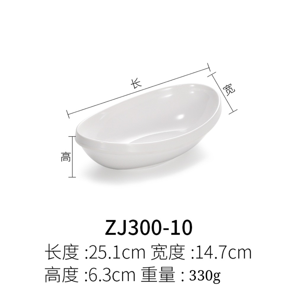 zj300-10