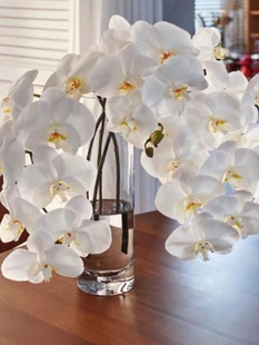 ���m�M�ڼ���ɫ�����m�r�л���Y����ϡ��С�������Ϻ�ֱ�l