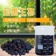 �S�ҹ�����÷��ԭ�� ��÷��s֭ ��÷����ԭҺ ��÷��ϴ��ӹ�