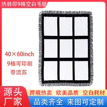 �羳DIY���Dӡ���m�q40&times;60inch�p��ë̺�����A9��ɳ�l̺���{̺