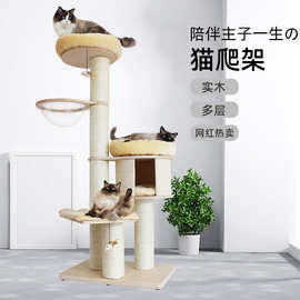 实木剑麻绳猫爬架大型猫树太空舱猫窝猫抓板一体人猫共用猫咪别墅