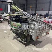 新款甘蔗去皮机全自动甘蔗削皮机商用摆摊甘蔗去皮切段清洗一体机