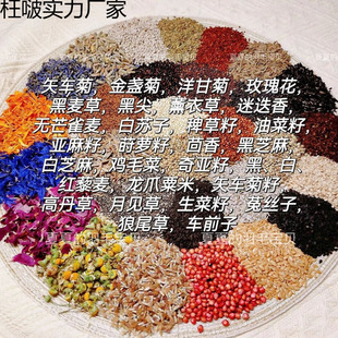 �W�^�Bʳ��F؛���ѻ��Z�B�Z΢��Ԫ�ػ�Ƥ���Pĵ��ͨ��