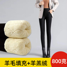东北羊羔绒打底裤女秋冬外穿加绒加厚蚕丝棉裤高腰保暖裤可外穿