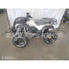 ţȫɳ̲ 200CCGY6ԽҰ ATV2X4ɽĦг