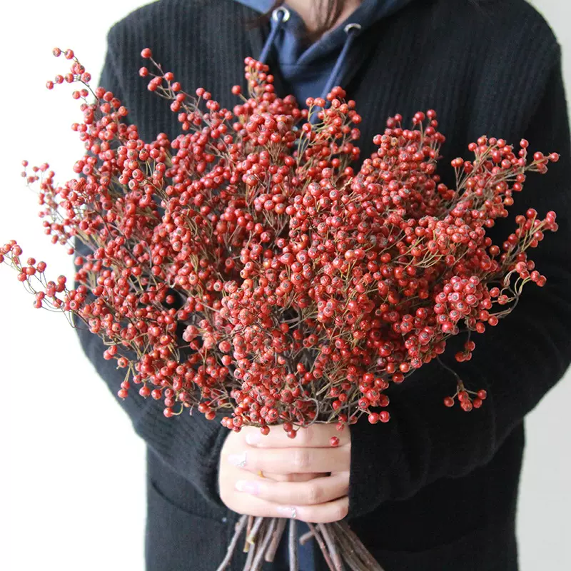 狂想者新品【小蔷薇果干果】家居装饰插花山归来干花自然侘寂风