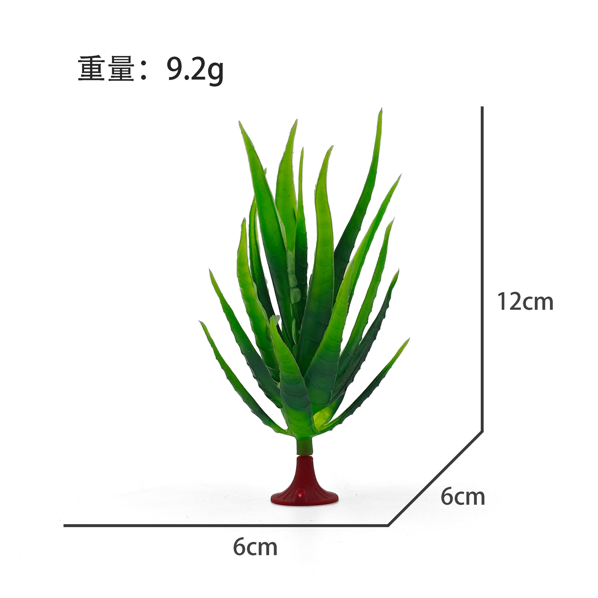 アガベ 9g
