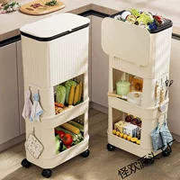 Capacious garbage can for home use, Japanese storage system