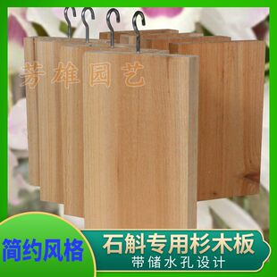 ����ˮ��ʯ���Nֲ��ɼľ��ɼ���ľ����Ƥ���̦�\�䘶���m��